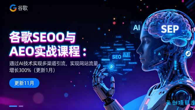 谷歌SEO与AEO实战课程：通过AI技术实现多渠道引流，实现网站流量增长300%-云创项目库