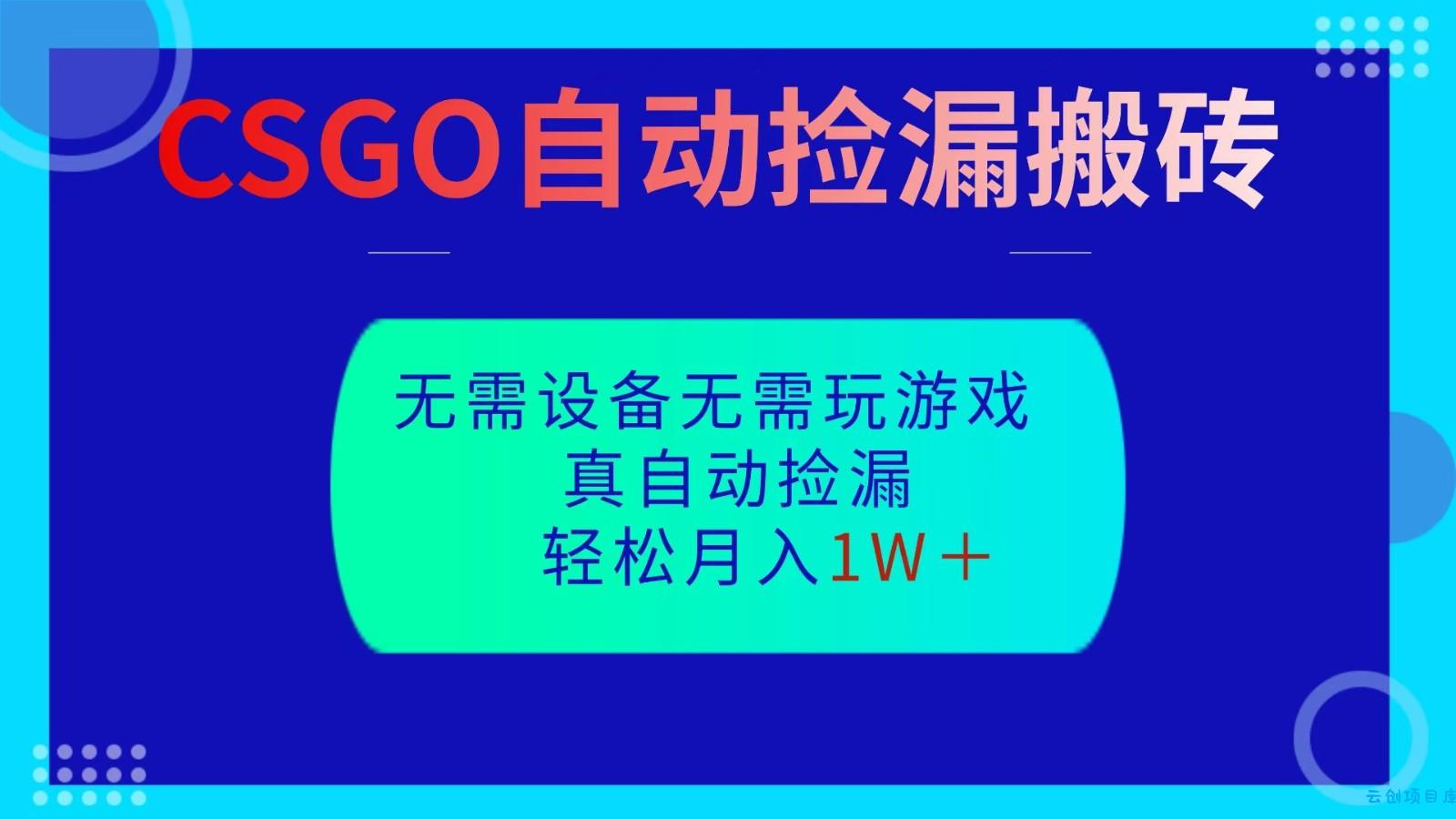 CSGO自动捡漏搬砖，当天操作当天见结果，无需了解游戏，包教包会包落地-云创项目库