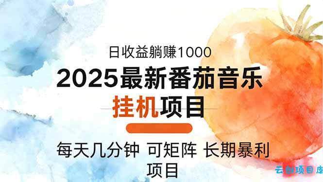 2025年最新番茄音乐人挂机项目，每天几分钟，月入1000＋，可矩阵，一台…-云创项目库