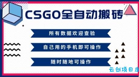 CSGO全自动搬砖，年底钱回家好项目，当天可拿到结果，新手小白轻松月入1W+【揭秘】-云创项目库