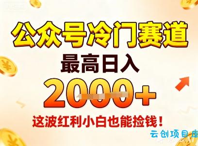 公众号冷门赛道,最高日入1k+,这波红利小白也能捡钱!