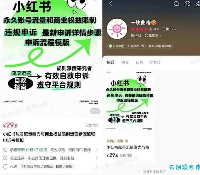 小红书虚拟电商掘金特训营第3期,从0到1带你玩小红书虚拟店铺