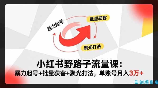 小红书野路子流量课：暴力起号+批量获客+聚光打法，单账号月入3万+-云创项目库
