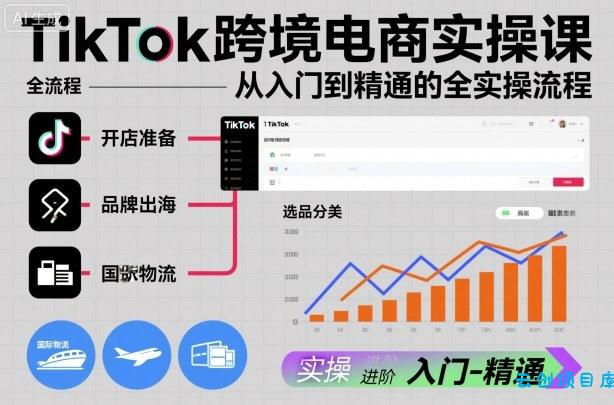 TikTok跨境电商实操课，从入门到精通的全实操流程-云创项目库