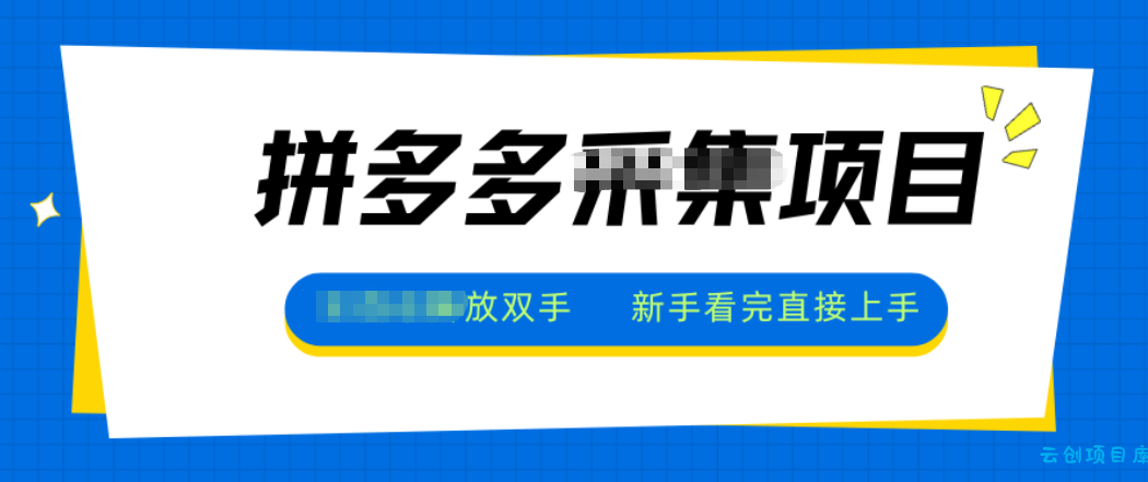 拼多多电商采集,一小时50+,操作简单,零投资-云创项目库