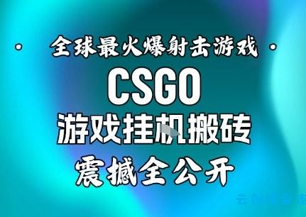 【年底大揭秘】基于全球最火爆的射击CSGO游戏挂G搬砖,日入5张+,震撼公开-云创项目库
