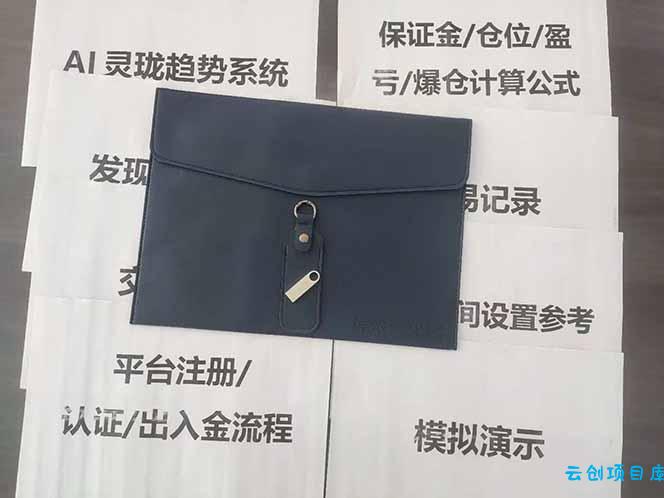 图片[5]-海外美金AI掘金项目，200U可入门槛，一天一单即可，每天1000-2000很轻松！-云创项目库