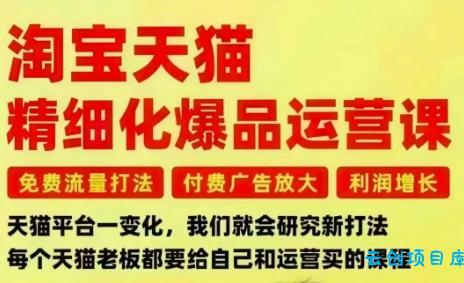 淘宝天猫精细化爆品运营课,免费流量打法-付费广告放大-利润增长-三大核心痛点,一次全部解决