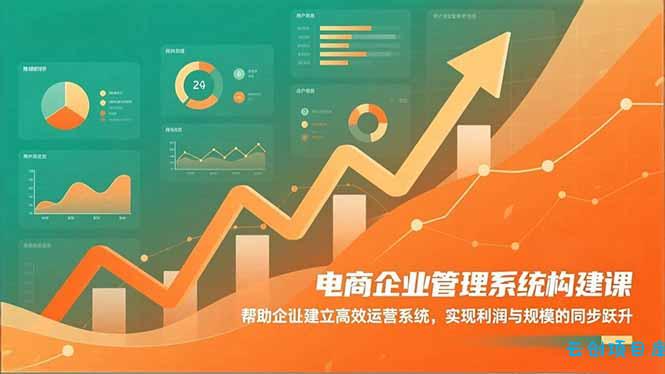 电商企业管理系统构建课:帮助企业建立高效运营系统,实现利润与规模的同步跃升-云创项目库
