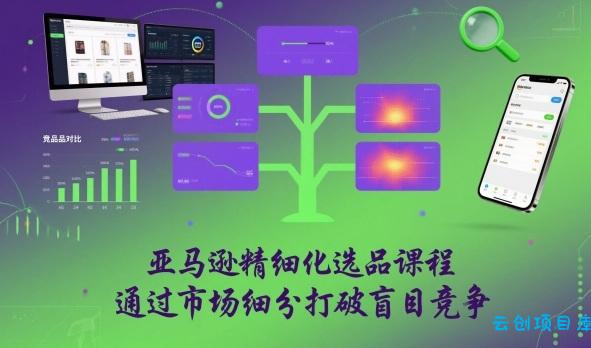 亚马逊精细化选品课程,通过市场细分打破盲目竞争-云创项目库