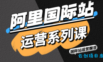 醒目老师·阿里国际站运营系列课(更新11月)-云创项目库