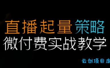 半野老师·直播带货起量与微付费必学课视频号-云创项目库