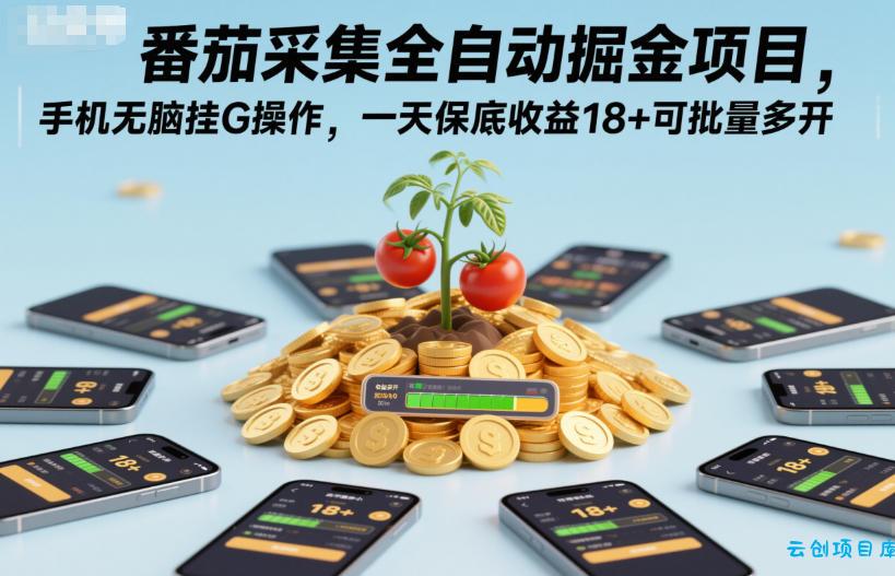 番茄采集全自动掘金项目,手机无脑挂G操作,一天保底收益18+可批量多开【揭秘】-云创项目库