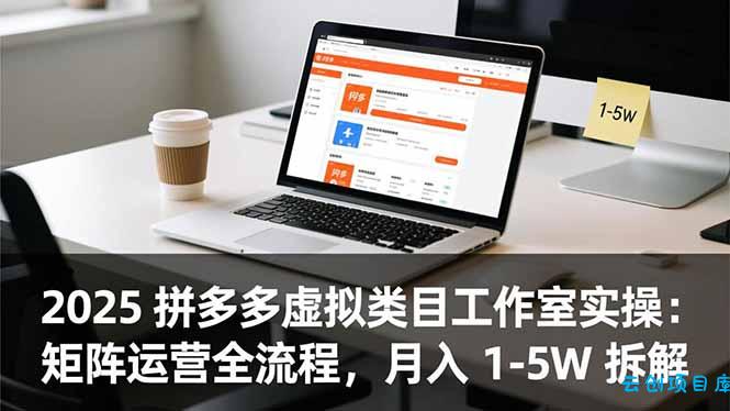2025 拼多多虚拟类目工作室实操:矩阵运营全流程,月入 1-5W 拆解-云创项目库