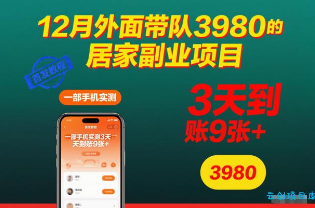 12月外面带队3980的居家副业项目，一部手机实测3天到账9张+，首发教程【揭秘】-云创项目库