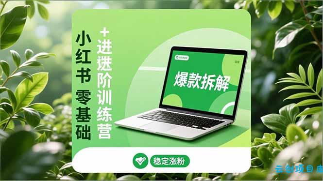 小红书零基础+高阶训练营:安全养号、爆款拆解、长效运营,实现稳定涨粉与变现-云创项目库