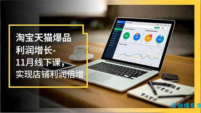 淘宝天猫爆品利润增长-11月线下课，免费流量、付费放大、费比管控，实现店铺利润倍增-云创项目库
