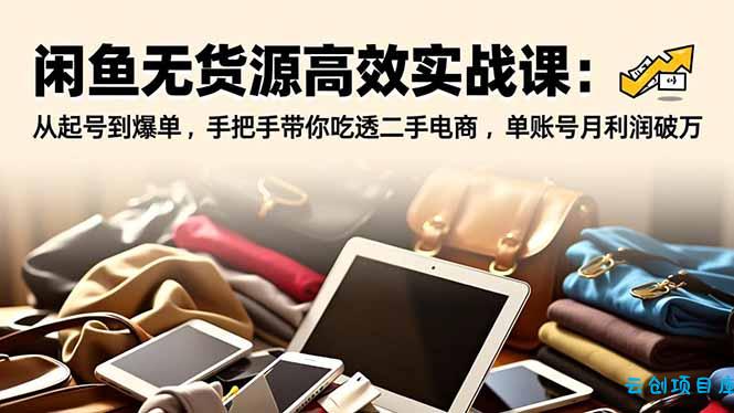 闲鱼无货源高效实战课：从起号到爆单，手把手带你吃透二手电商，单账号月利润破万-云创项目库