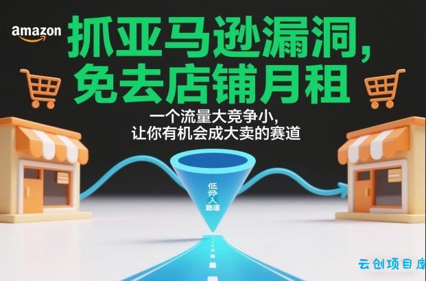 抓亚马逊漏洞，免去店铺月租，一个流量大竞争小，让你有机会成大卖的赛道-云创项目库