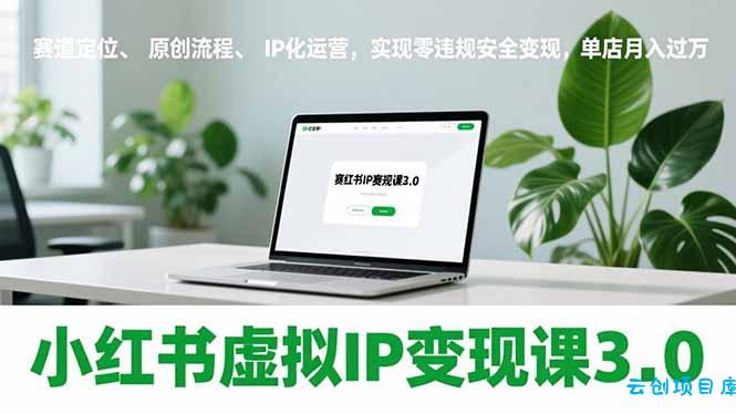 小红书虚拟IP变现课3.0，赛道定位、原创流程、IP化运营，实现零违规安全变现，单店月入过万-云创项目库