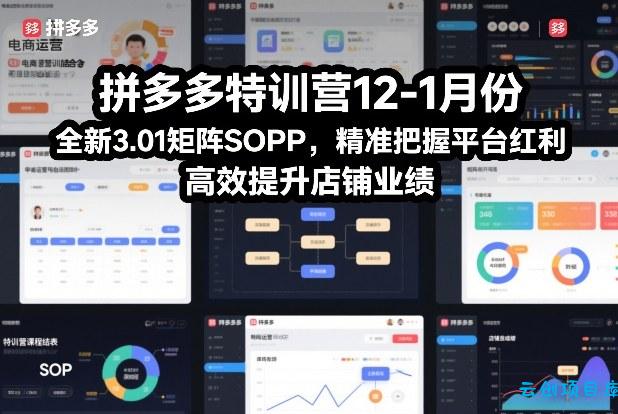 拼多多特训营12-1月份，全新3.01矩阵Sop，精准把握平台红利，高效提升店铺业绩-云创项目库