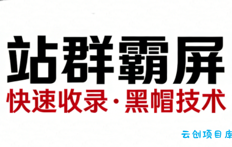 SEO野路子实战全集：快速收录、站群霸屏、黑帽技术-云创项目库