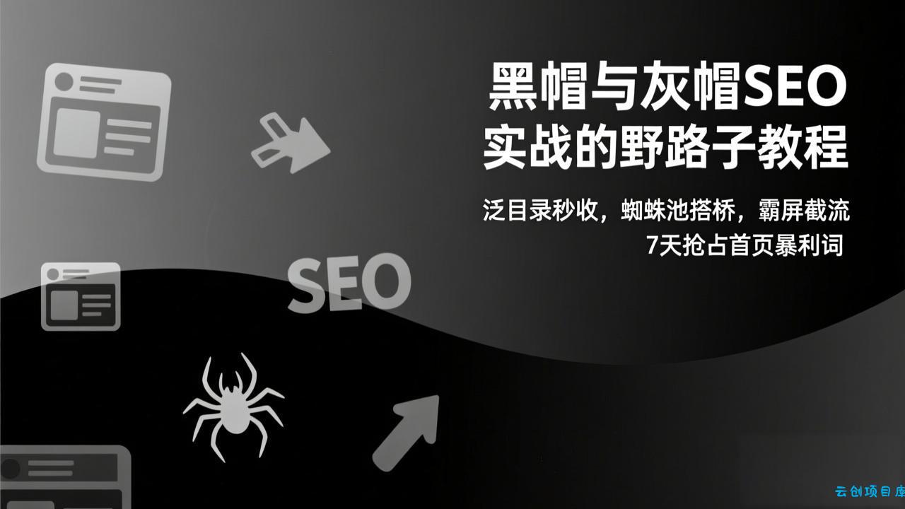 黑帽与灰帽SEO实战的野路子教程：泛目录秒收，蜘蛛池搭桥，霸屏截流，7天抢占首页暴利词-云创项目库