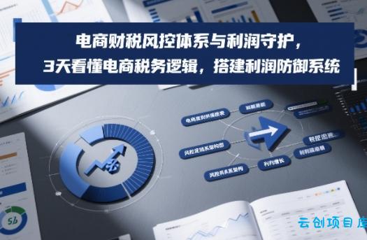 电商财税风控体系与利润守护，3天看懂电商税务逻辑，搭建利润防御系统-云创项目库