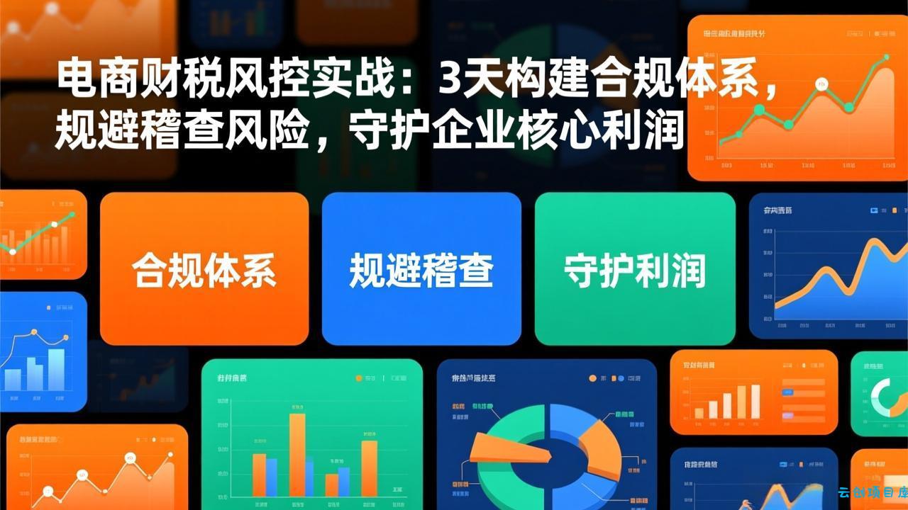 电商财税风控实战：3天构建合规体系，规避稽查风险，守护企业核心利润-云创项目库