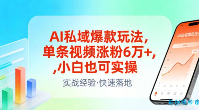 AI私域爆款玩法，单条视频涨粉6W+，小白也可实操-云创项目库