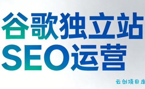 谷歌独立站SEO运营(更新2026)-云创项目库