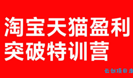 玺承·淘宝天猫盈利突破特训营(25年12月线下课)【音频+字幕】-云创项目库