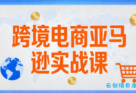 丝丝老师·跨境电商亚马逊实战课(更新2月)-云创项目库
