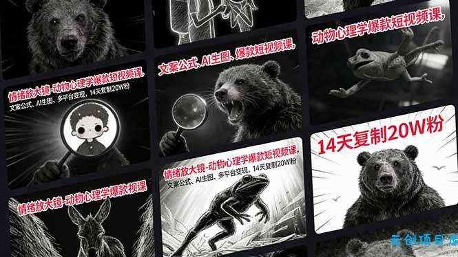 情绪放大镜-动物心理学爆款短视频课，文案公式、AI生图、多平台变现，14天复制20W粉-云创项目库