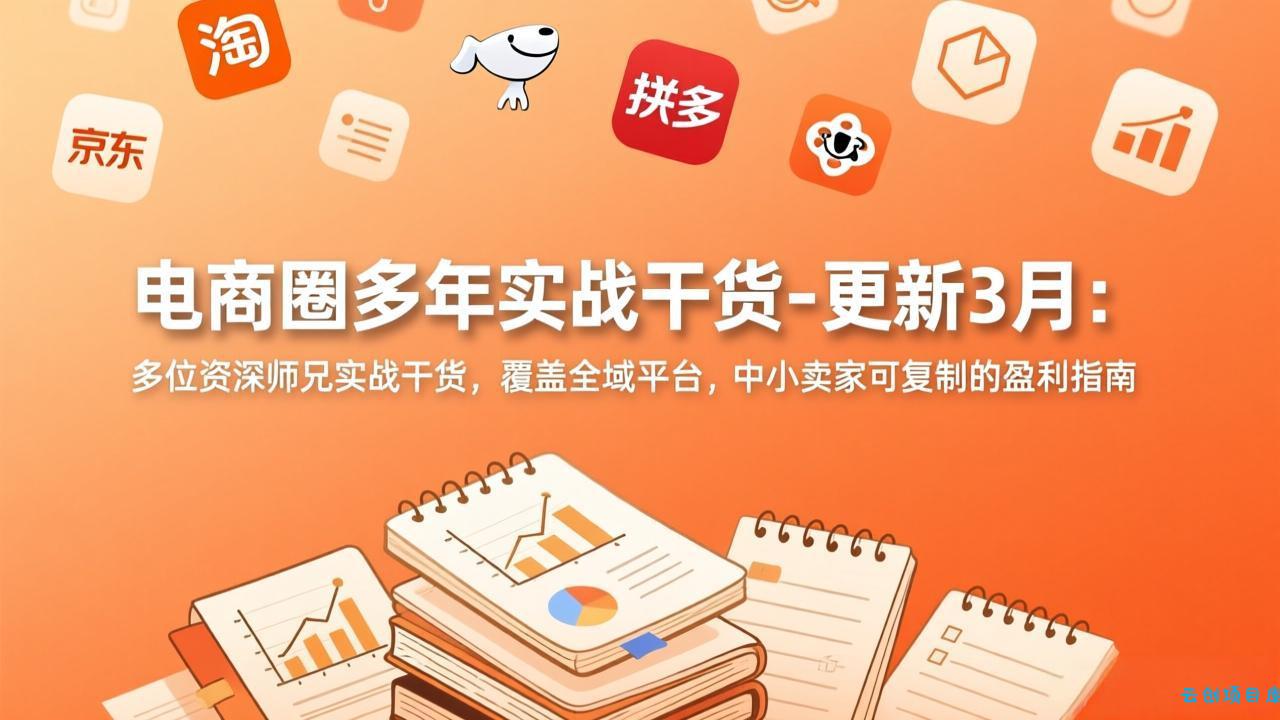 电商圈多年实战干货-更新3月：多位资深师兄实战干货，覆盖全域平台，中小卖家可复制的盈利指南-云创项目库
