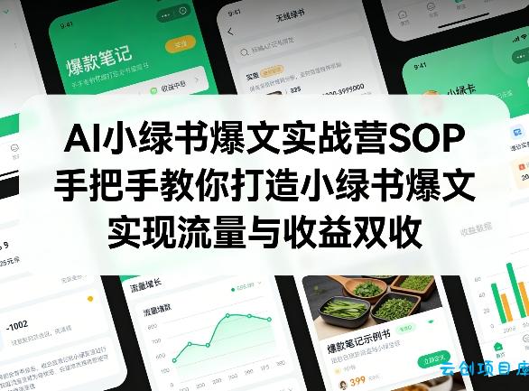 AI小绿书爆文实战营SOP，手把手教你打造小绿书爆文，实现流量与收益双收-云创项目库
