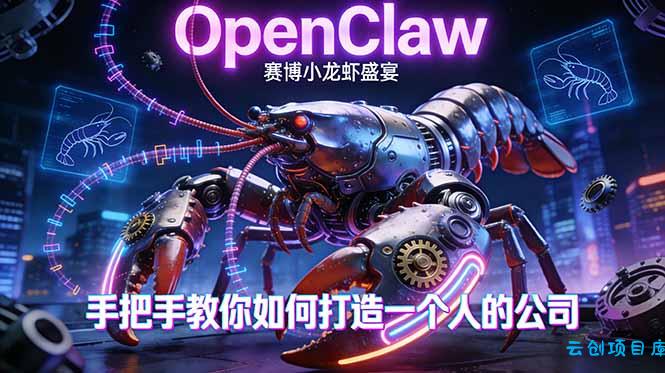 OpenClaw，小龙虾-从产品到爆款的成长之路，手把手教你如何打造一个人的公司-云创项目库