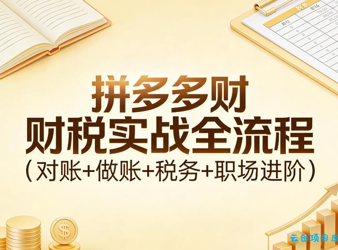 拼多多财税实战全流程(对账+做账+税务+职场进阶)-云创项目库