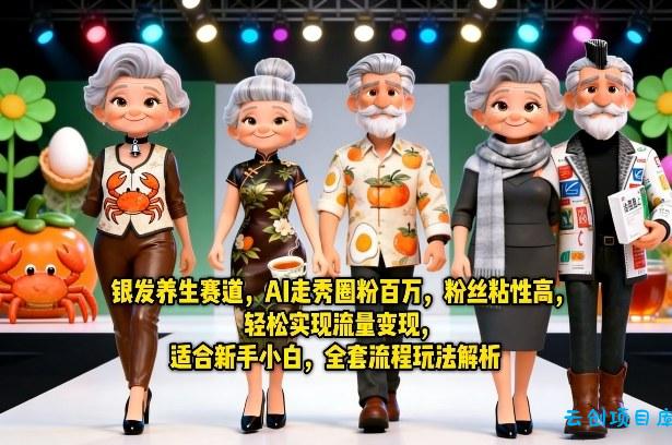 银发养生赛道，AI走秀圈粉百万，粉丝粘性高，轻松实现流量变现，适合新手小白，全套流程玩法解析-云创项目库