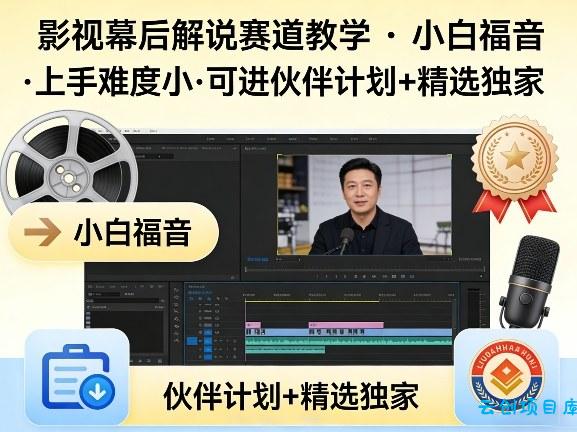 某大佬的影视幕后解说赛道教学，小白福音，上手难度小，可进伙伴计划+精选独家-云创项目库