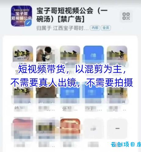 宝子哥头部团队短视频带货，以混剪为主，不需要真人出镜，不需要拍摄【更新26年3月】-云创项目库