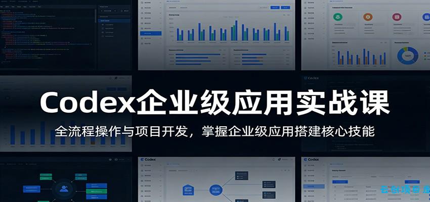 Codex企业级应用实战课：全流程操作与项目开发，掌握企业级应用搭建核心技能-云创项目库