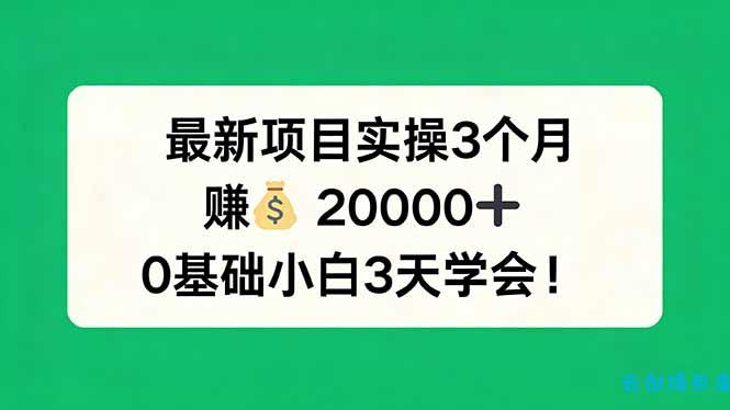 最新项目实操3个月，赚钱20000+，0基础小白3天学会！-云创项目库