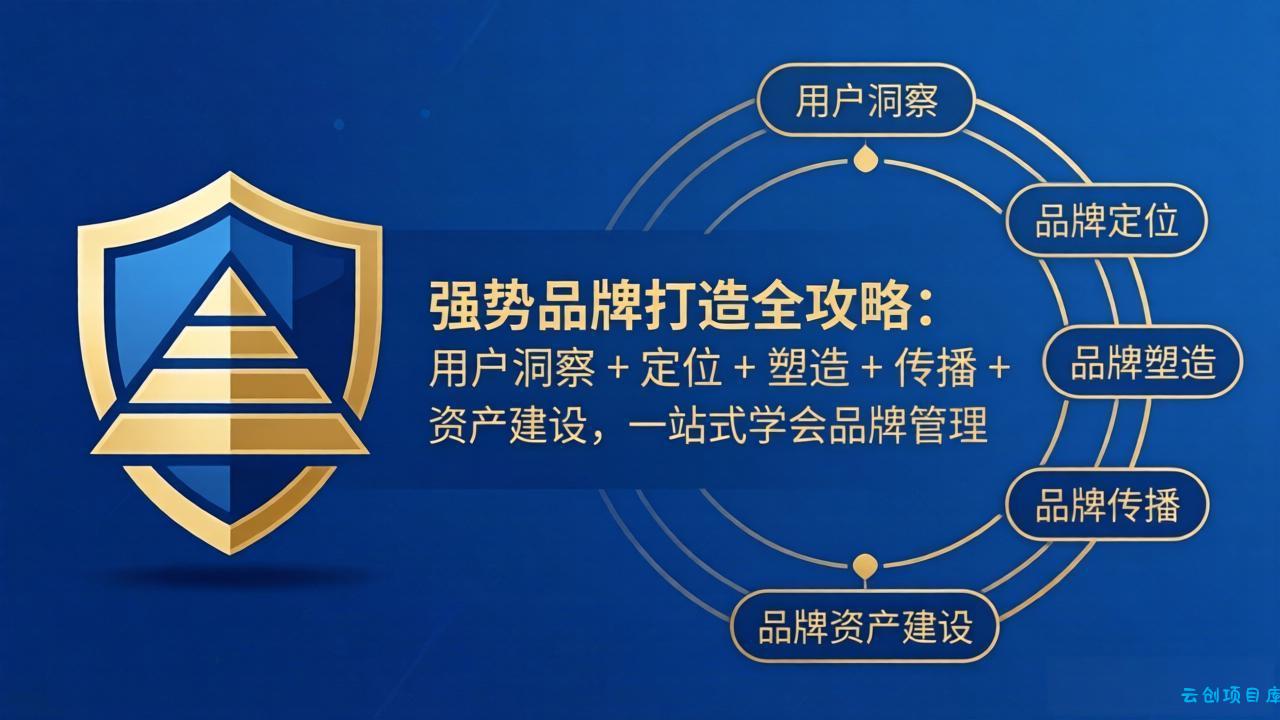 强势品牌打造全攻略：用户洞察 + 定位 + 塑造 + 传播 + 资产建设，一站式学会品牌管理-云创项目库