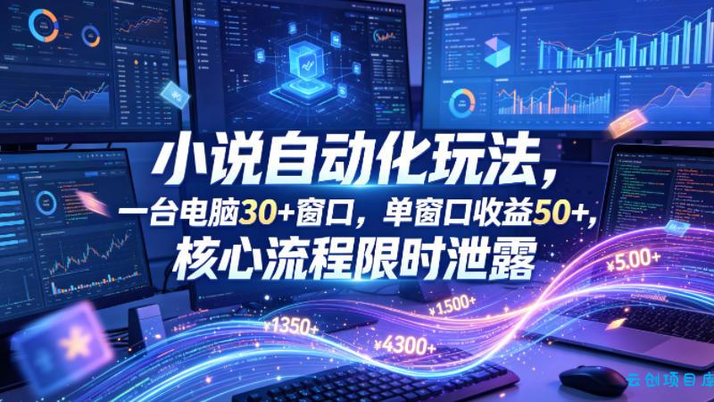 小说挂G自动化玩法,一台电脑30+窗口,单窗口收益50+,核心流程限时泄露【揭秘】-云创项目库