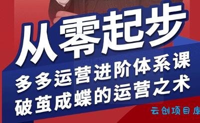 拼多多运营进阶系统课，从零起步，多多运营进阶体系课，破茧成蝶的运营之术(更新26年4月)-云创项目库
