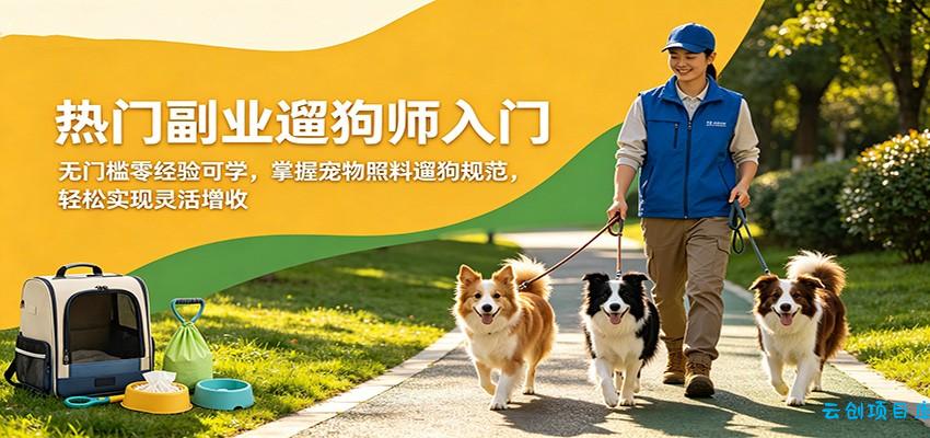 热门副业遛狗师入门，无门槛零经验可学，掌握宠物照料遛狗规范，轻松实现灵活增收-云创项目库