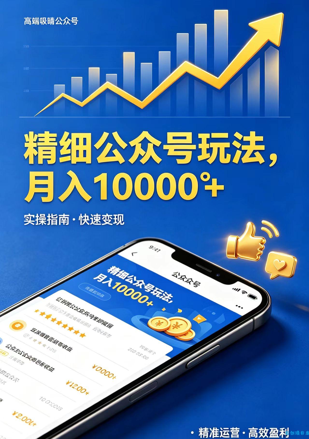 精细公众号玩法，月入10000+，实操指南，快速变现-云创项目库