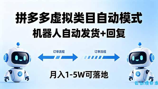 多多虚拟类目自动模式，机器人自动发货 + 回复，月入 1-5W 可落地-云创项目库