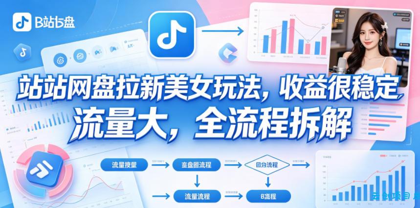 B站网盘拉新美女玩法，收益很稳定，流量大，全流程拆解-云创项目库